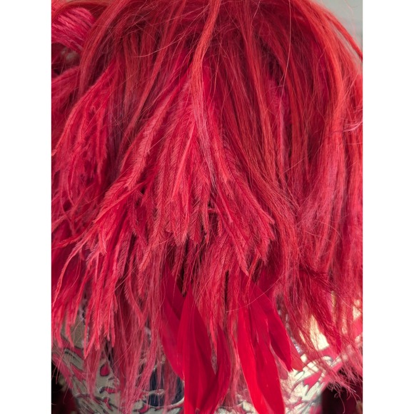 NWT Dolce‎ & Gabbana Red Brocade Coat with Feather Collar Made in Italy Size 38 - Picture 13 of 14